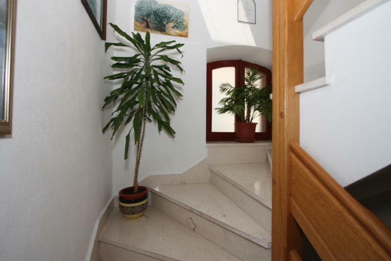 Marjan Apartment & Rooms 斯普利特 外观 照片